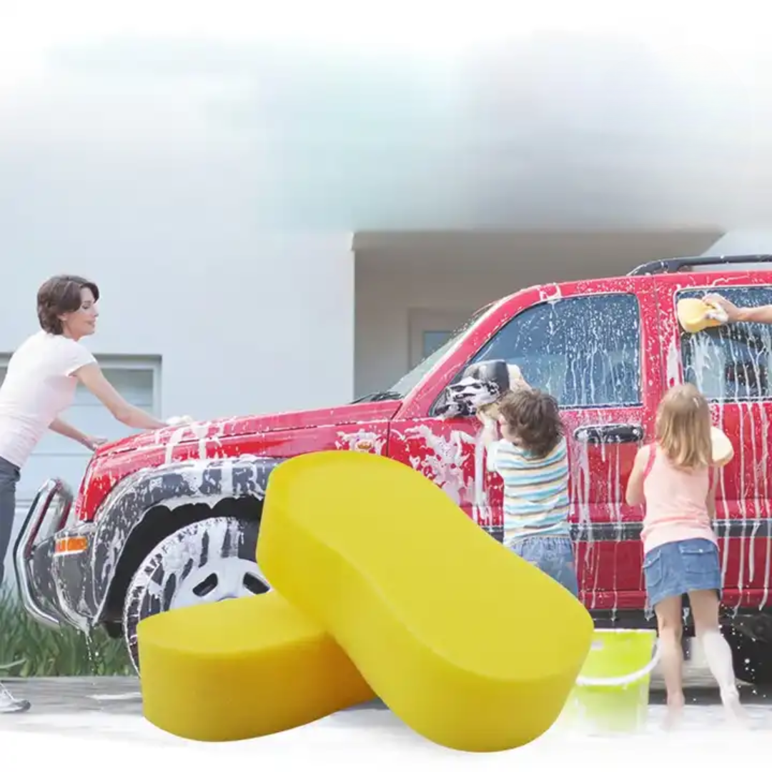 Car Wash Sponge